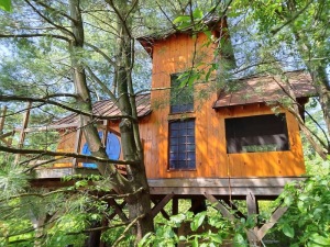 The Sweetgrass Joinery Co., Ltd., Geauga County, Ohio   Firefly-Tree-House