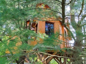 The Sweetgrass Joinery Co., Ltd., Geauga County, Ohio   Firefly-Tree-House