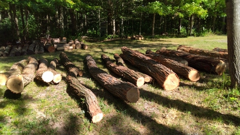 Learning Forest Signs & Structures/ The Sweetgrass Joinery Company