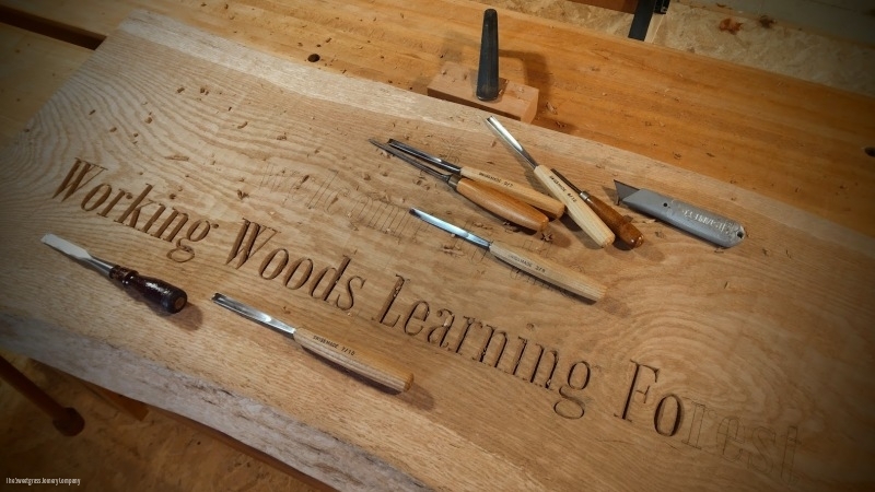 Learning Forest Signs & Structures/ The Sweetgrass Joinery Company