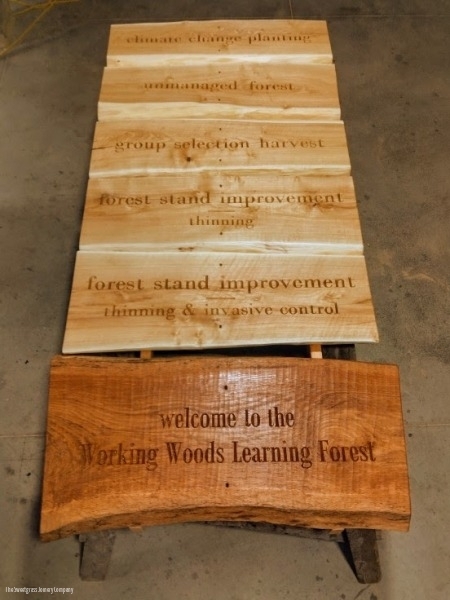 Learning Forest Signs & Structures/ The Sweetgrass Joinery Company