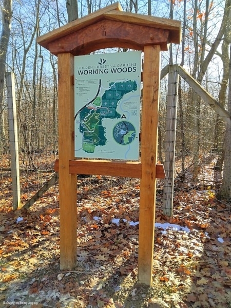 Learning Forest Signs & Structures/ The Sweetgrass Joinery Company