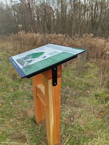 Learning Forest Signs & Structures/ The Sweetgrass Joinery Company