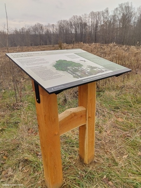 Learning Forest Signs & Structures/ The Sweetgrass Joinery Company