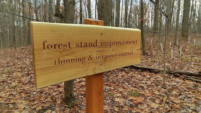 Learning Forest Signs & Structures/ The Sweetgrass Joinery Company
