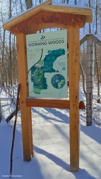 Learning Forest Signs & Structures/ The Sweetgrass Joinery Company